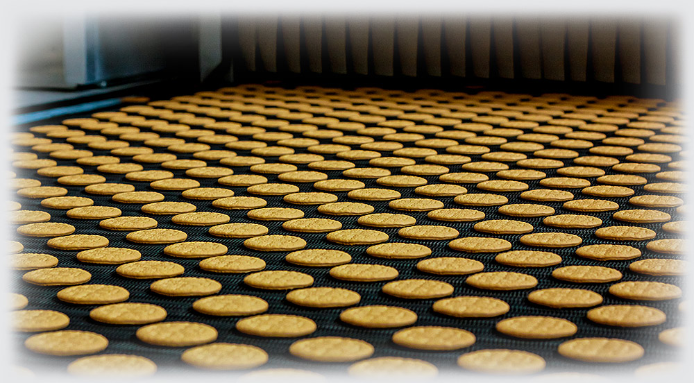Автоматическая линия для производства затяжного печенья - foto №210